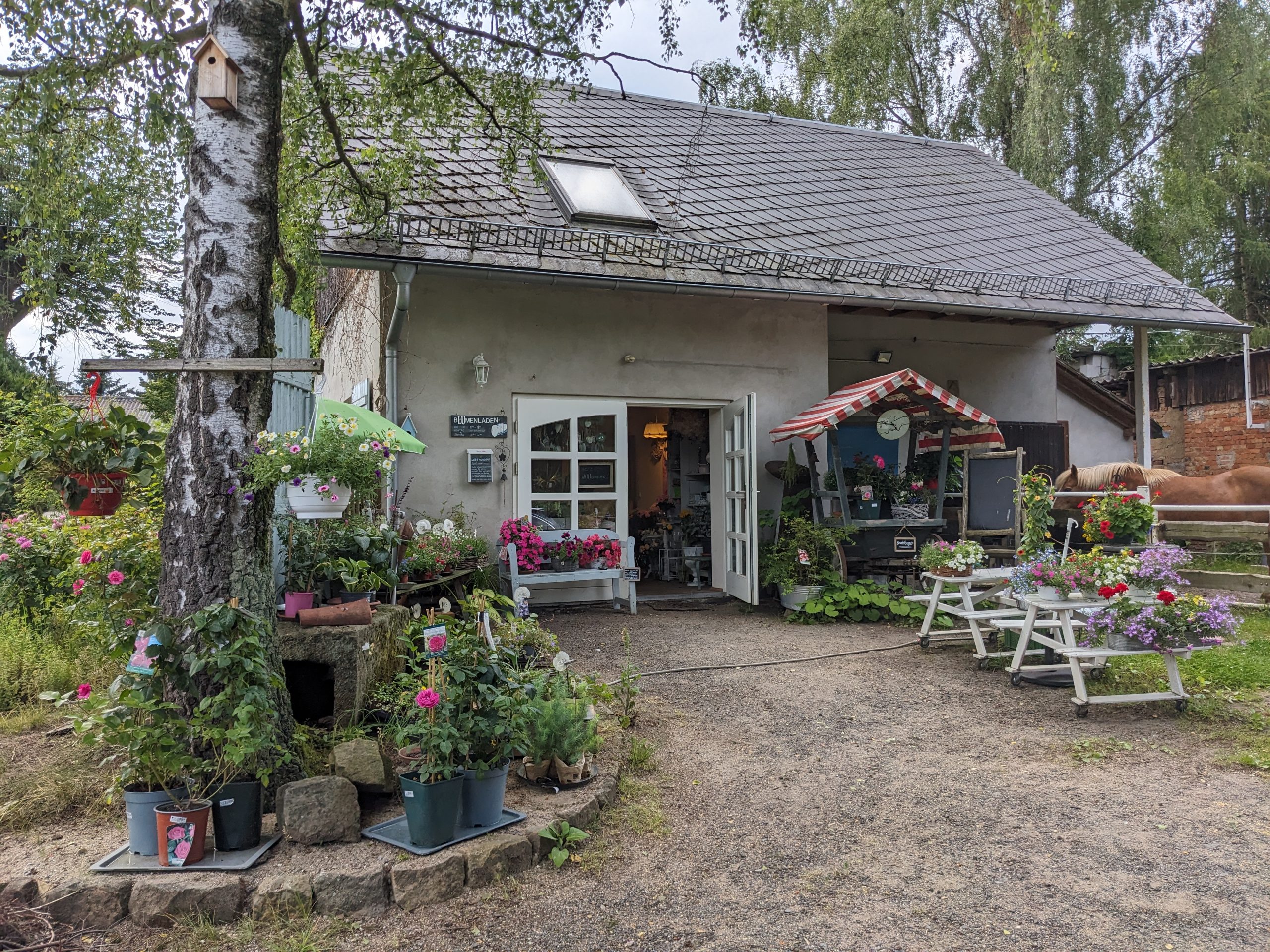 Blumenladen mit Blumen für innen und außen 