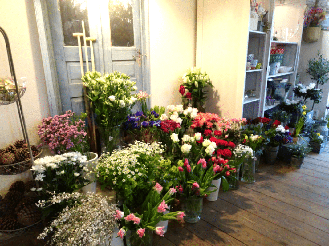 Blumenladen Rosen und mehr